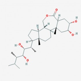 蕓苔素內(nèi)酯 油菜素內(nèi)酯 Epibrassinolide 72962-43-7