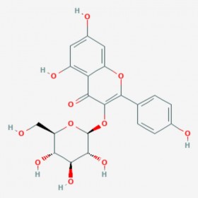 紫云英苷 紫云英甙 莰非醇-3-O-葡萄糖苷 山奈酚-3-O-葡萄糖苷 黃芪苷 Astragaline 480-10-4