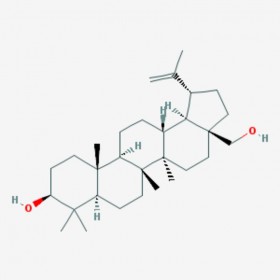 白樺脂醇 樺木醇 樺木腦 Betulin