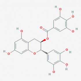 沒食子兒茶素  棓兒茶酸 沒食子酰兒茶素   Gallocatechin