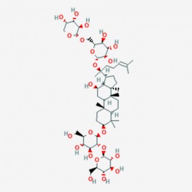 人參皂苷Rb2 GINSENOSIDE RB2 11021-13-9 C53H90O22