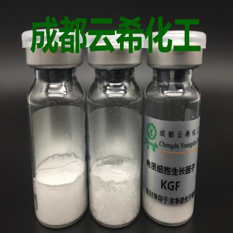 rh-KGF重組人角質(zhì)細(xì)胞生長(zhǎng)因子（KGF2）/FGF10