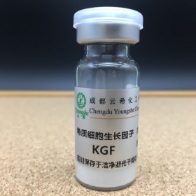 SUMO蛋白酶1（組氨酸標(biāo)簽） SUMO Protease 1，His-tag SUMO-P1(His)