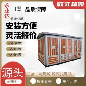 高原箱式變電站 630kva箱變 南充箱式變電站廠家 永業(yè)達(dá)