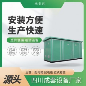 戶外箱式變電站 315kva公園箱變 巴中箱變廠家 永業(yè)達