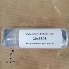 瑞士BIERI比利微型泵AKP30-0.016-300-D-A*00現(xiàn)貨