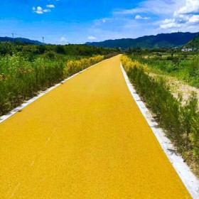 遼寧阜新市彩色透水混凝土 透水地坪粘接料廠家 透水砼顏色料 透水地坪粘接膠 透水地坪報價 批發(fā)價格