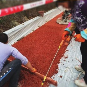 四川省都江堰市彩色生態(tài)透水混凝土地坪  山西太原市透水混凝土里面 透水混凝土施工價(jià)格 彩色透水混凝土材料生產(chǎn)廠家   壓?；炷敛牧蠌S家 透水粘接劑廠家送貨到工地