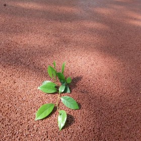 昆明市麗江市彩色透水混凝土  透水地坪粘接料廠家  透水砼顏色料 透水地坪粘接膠 透水地坪報(bào)價(jià) 批發(fā)價(jià)格