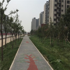 綿陽市 生態(tài)透水混凝土 路藝廠家現(xiàn)貨 彩色透水混凝土路面施工 透水地坪材料 廠家直供 價格優(yōu)惠