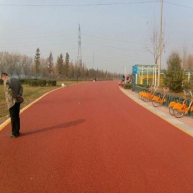 成都市 園林道路彩色混凝土 商業(yè)街彩色混凝土 生態(tài)透水地坪 詢價