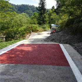 彩色透水混凝土跑道 天然透水混凝土 透水混凝土道路 量大送貨到工地