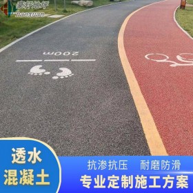 彩色透水路面道路 彩色混凝土地坪 透水地坪封閉劑 廠家直銷