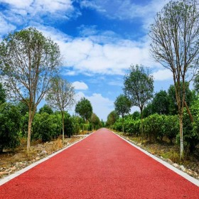 黔南 海綿透水混凝土 彩色砼路面 公園透水地坪 材料生產(chǎn)廠家