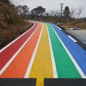 西雙版納 彩色混凝土地坪 人行道透水 生態(tài)透水地面 工程案例