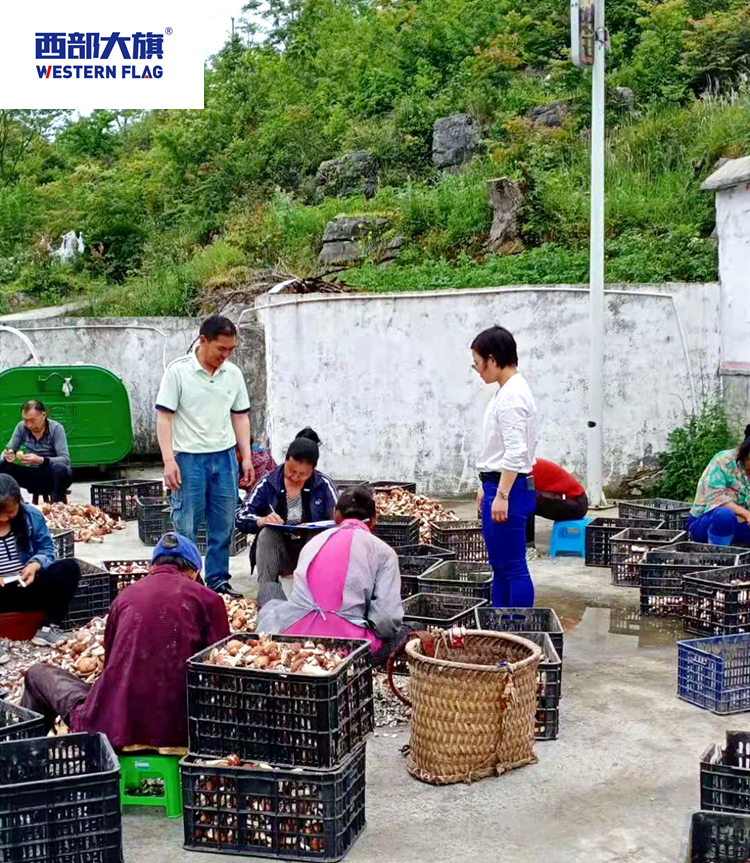 香菇烘干房